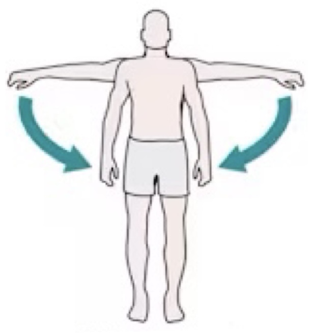 <p>name the muscle action</p>