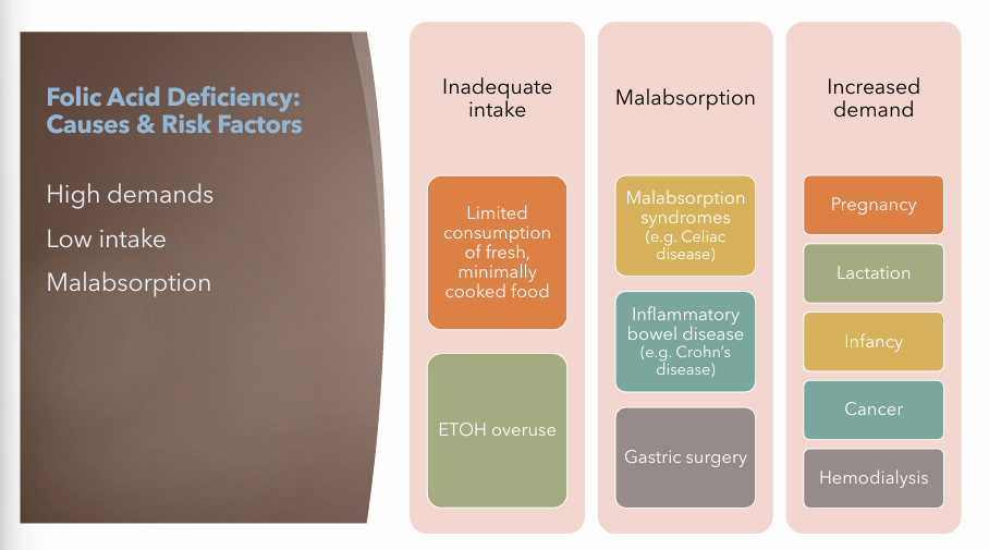 <ul><li><p><strong>Inadequate Intake</strong></p><ul><li><p>Limited consumption of fresh, minimally cooked food</p></li><li><p>ETOH (alcohol) overuse</p></li></ul></li><li><p><strong>Malabsorption</strong></p><ul><li><p>Malabsorption syndrome (E.g. Celiac Disease)</p></li><li><p>Inflammatory bowel disease (E.g. Crohn’s Disease)</p></li><li><p>Gastric Surgery</p></li></ul></li><li><p><strong>Increased Demand</strong></p><ul><li><p>Pregnancy</p></li><li><p>Lactation</p></li><li><p>Infancy</p></li><li><p>Cancer</p></li><li><p>Hemodialysis</p></li></ul></li></ul><p></p>