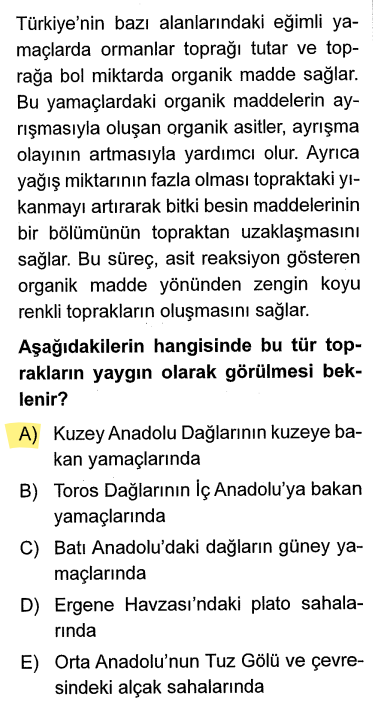 <p>Karadeniz'in kuzey yamaçları denize bakar, bol yağış alır ve gür ormanlarla kaplıdır. Orman yaprakları çürüyerek "humus" yani organik madde oluşturur. Yağış fazla olduğu için toprak asidiktir.</p>