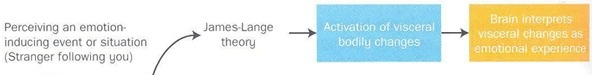<p>body → interpretation = emotion</p><p>facial feeback hypothesis: <span data-name="slightly_smiling_face" data-type="emoji">🙂</span> → happy feelings</p><p></p><p>x paralysation</p><p>x people differ in introception</p><p>x experiencing emotion first: blushing?</p><p>x no cognition</p>