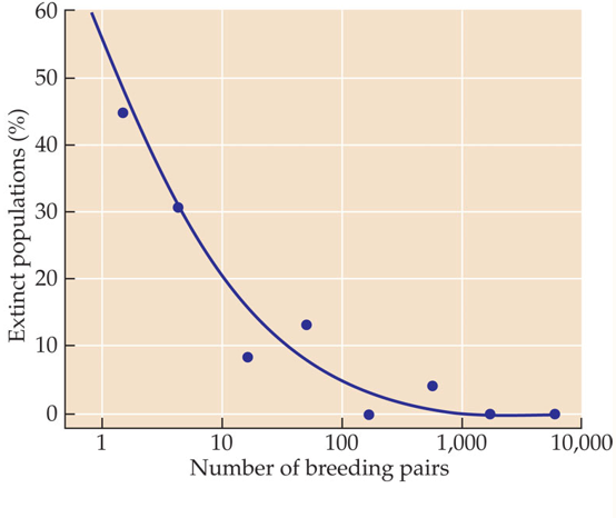 <p>A larger population limits the negative effects of genetic drift</p>