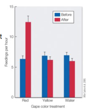 <p>what does this graph show?</p>