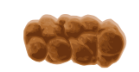 <p>Rate this on the bristol stool chart</p>