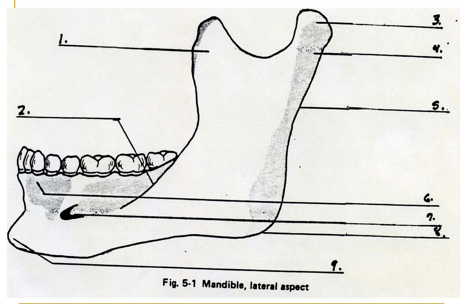 <p>Label 6</p>