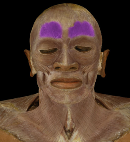 <p>raise eyebrows</p>