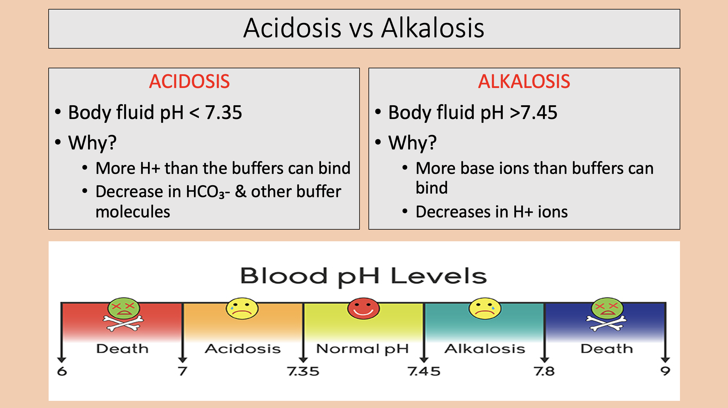 <p><span style="color: rgb(255, 0, 0);">alkalosis </span></p>