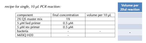 <p><span style="background-color: transparent;"><strong>Calculate PCR reaction (C1*V1=C2*V2) </strong></span></p><p><span style="background-color: transparent;">(Lecture #5-6 Questions)</span></p>