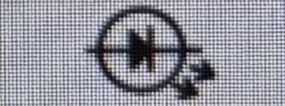 term image
