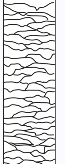 <p>"Flattened" Configuration. Very narrow, flattened scales that overlap in a shingle-like pattern along the hair shaft</p><p>Partial Encirclement. Unlike coronal patterns, imbricate scales do not completely encircle the hair shaft, creating a distinctive asymmetric appearance</p><p>Human Hair Indicator, <strong>Very common to human hair</strong> and serves as a primary identifying characteristic in forensic examinations</p>