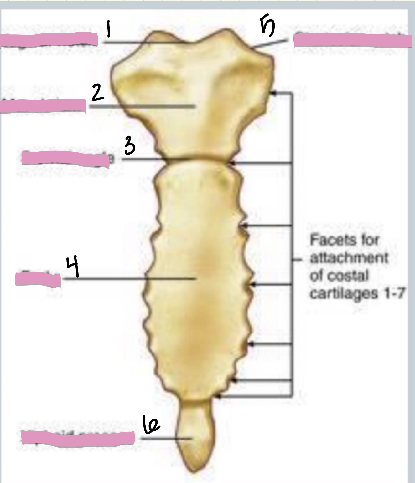 <p>what is 3?</p>