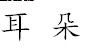 term image