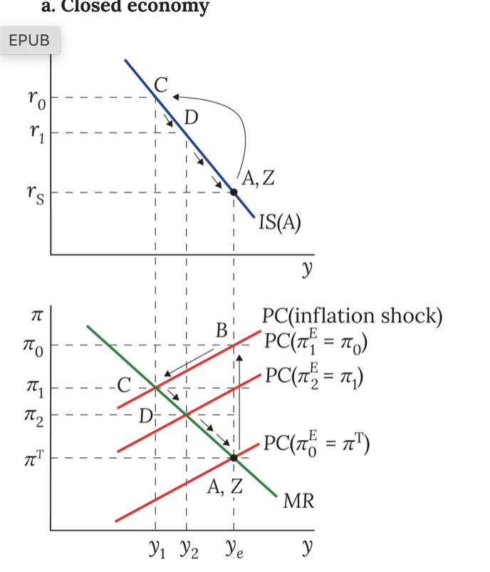 <p>positive inflation shock (closed economy)</p>