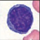 <p>What is this an image of?</p>