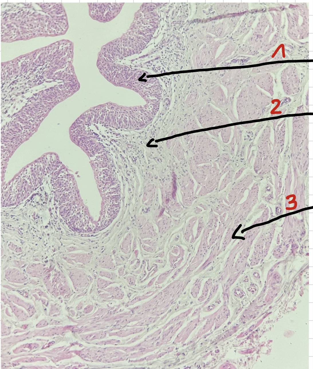 <p>1</p>