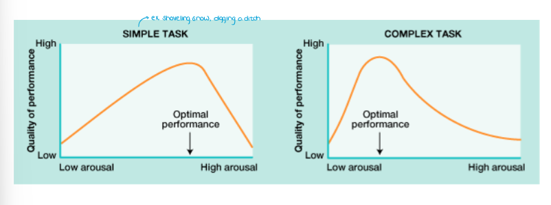 <ul><li><p>States that there is an optimal level or arousal for best performance on any task → for cognitively (using your brain!) complex tasks (like tests), the optimal level of arousal is moderately low</p></li><li><p>The more complex the task, the lower the level of arousal that can be tolerated without interfering with performance</p></li><li><p>Ex. Taking a psych test… HR is 70 BPM (<100 = red. resting HR [~70 BPM]) vs. 200 BPM</p><ul><li><p>avg. HR leads to better performance</p></li></ul></li></ul><p></p>