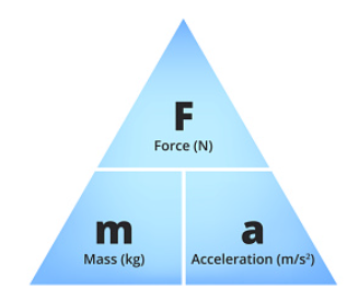 <p><span>Force&nbsp;=&nbsp;mass&nbsp;×&nbsp;acceleration</span></p>