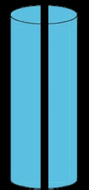 <p>Longitudinal</p>