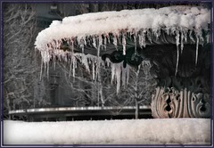 <p>it's freezing</p>