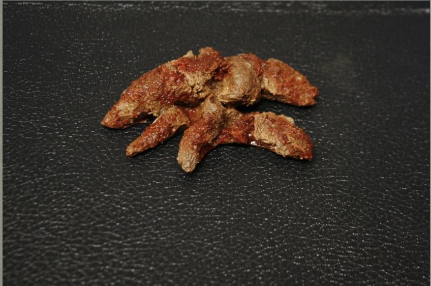 <p>Identify this scat</p>