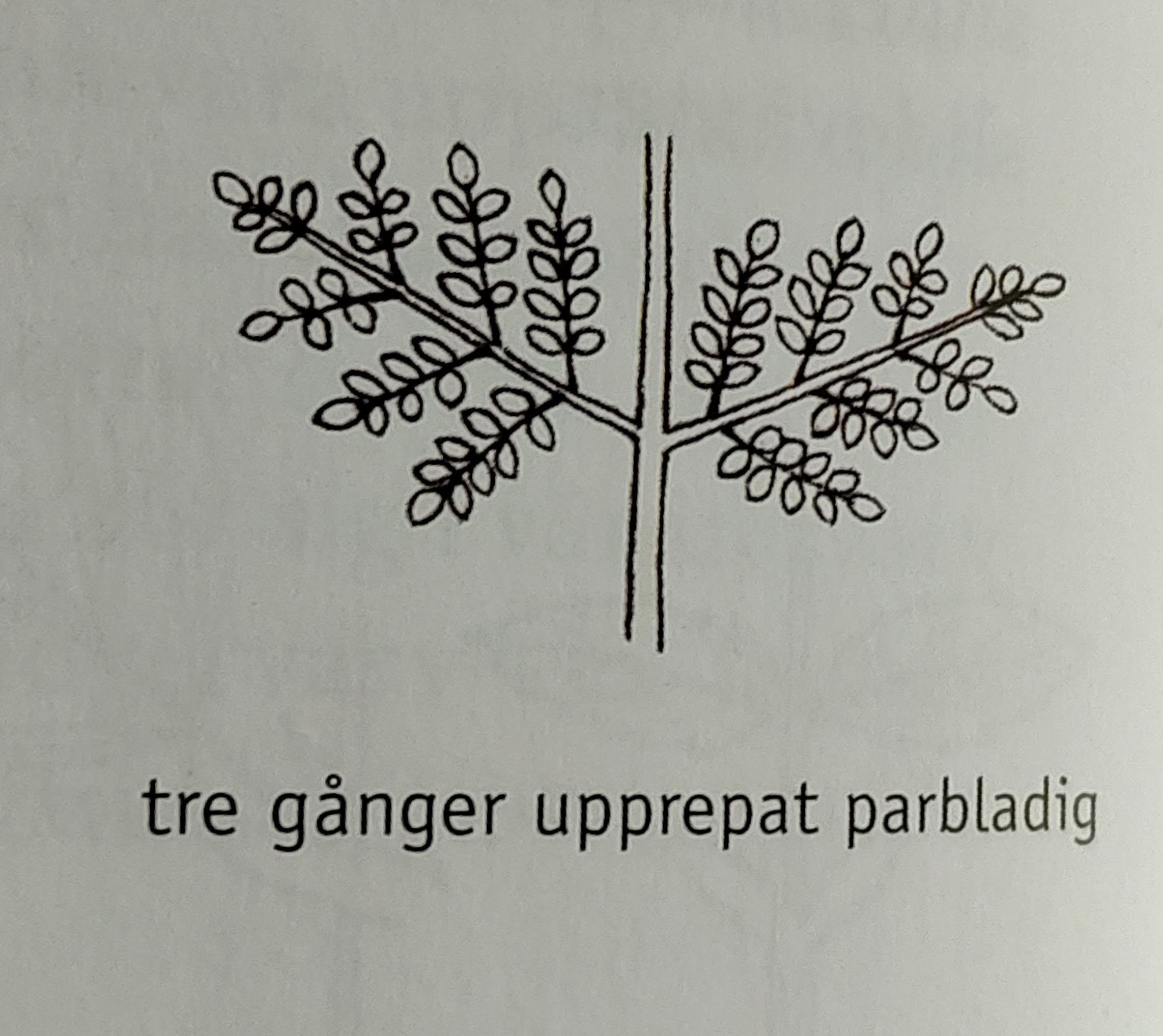 <p></p>