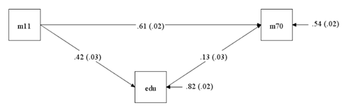 <p>Rechtstreeks effect van IQ op 11 jaar op IQ op 70 jaar en indirect effect via opleiding.</p>