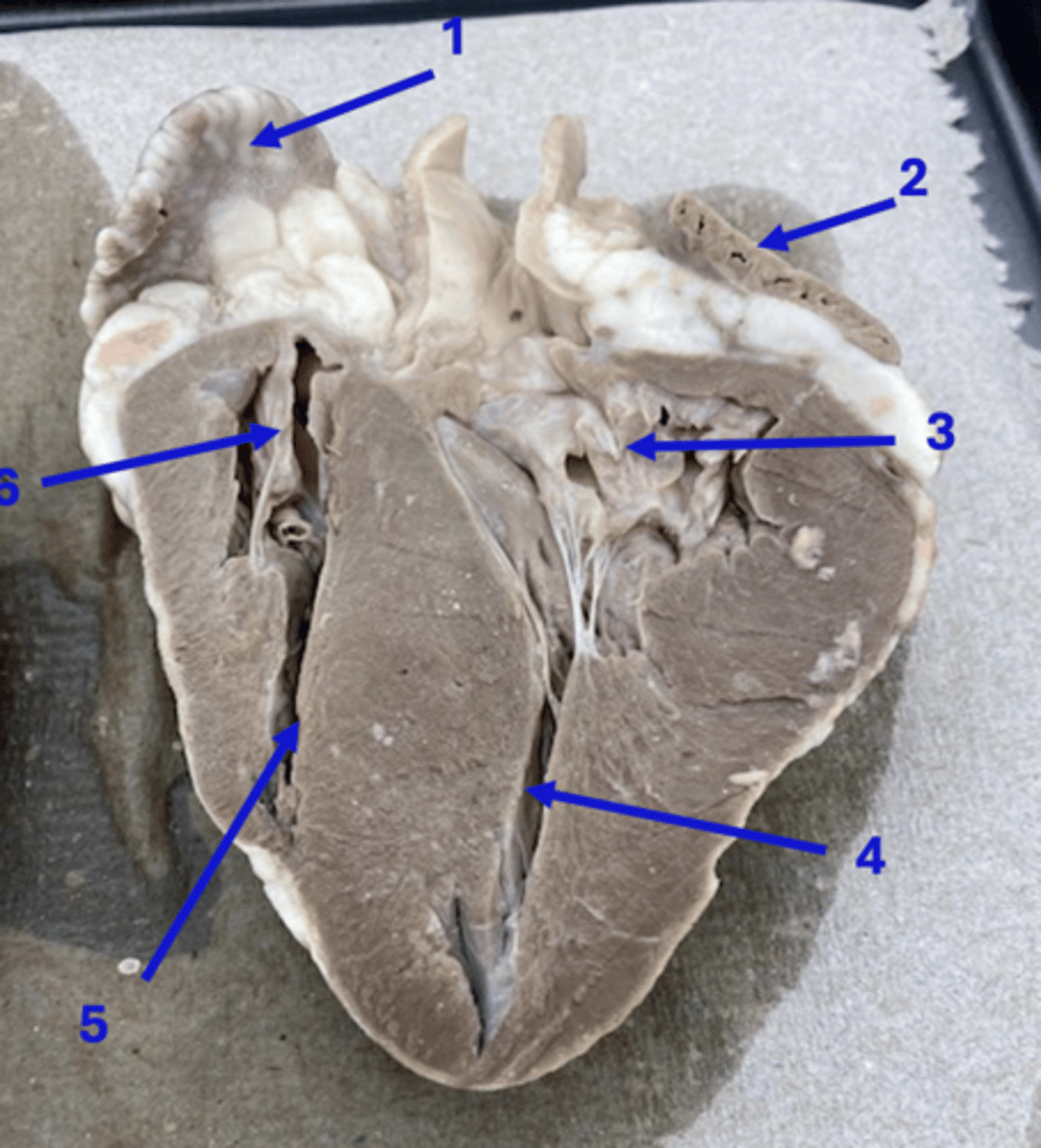 <p>2</p>
