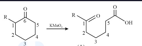 <p>kmno4 cleaves the double bond completely, severing the bond between the carbons. it adds =O to the MOST substituted carbon and OOH to the least substituted one</p>