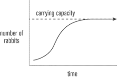 <p>largest number of individuals a particular species that a particular environment can support</p>