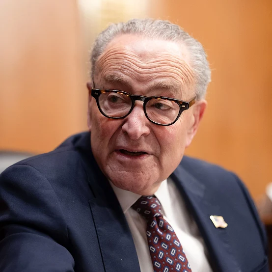 <p>Chuck Schumer</p>