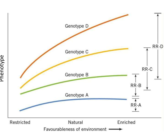 <p>what is an example to explain this diagram</p>
