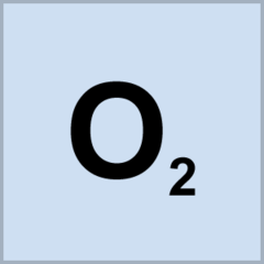 <p>oxygen</p>