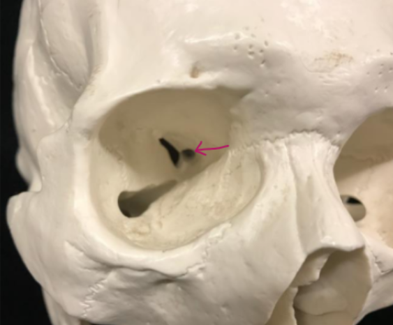 <p>What is this?</p>