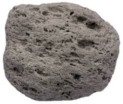 <p>Frothy vesicular structure characteristic of pumice. </p>