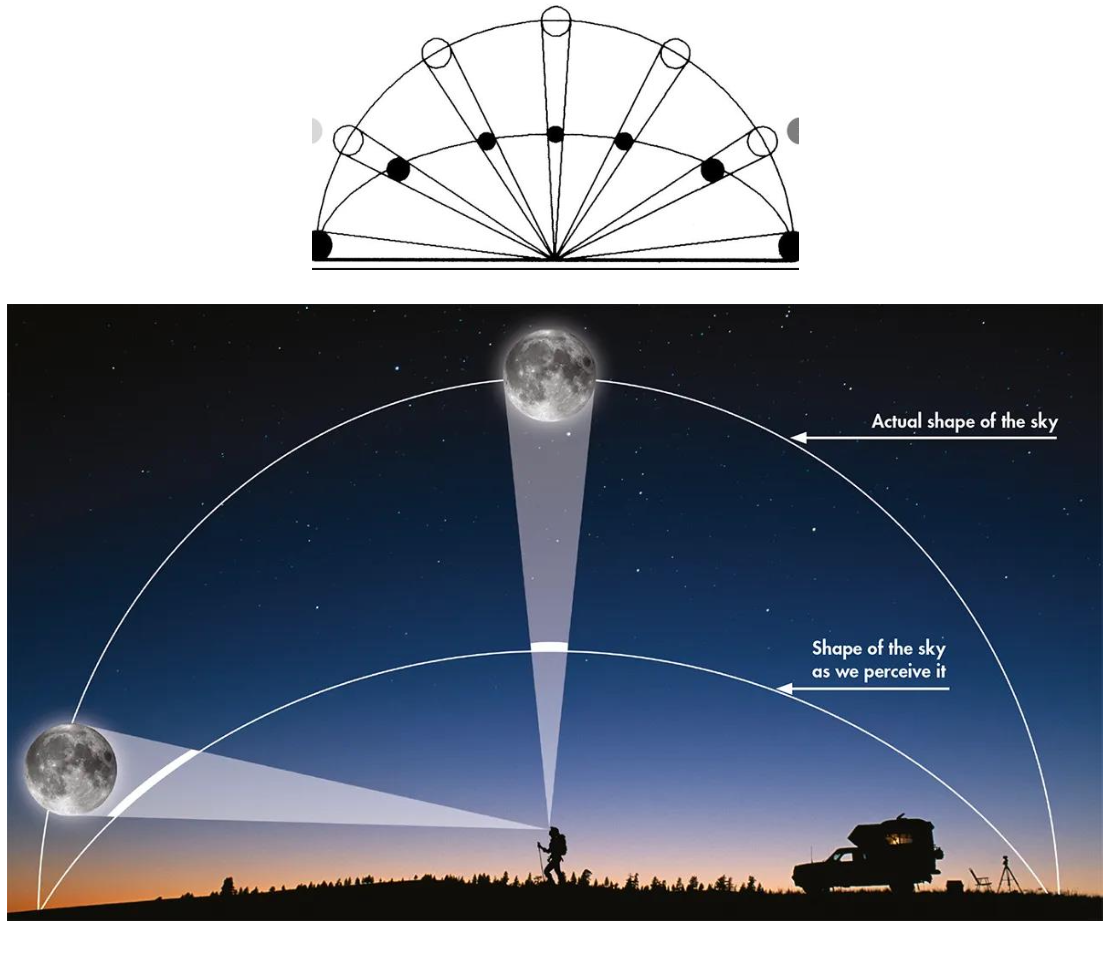 <p><u>Combining Depth Cues: Illusions</u></p><p>Moon Zenith vs at Horizon</p><p class="p2">• Moon appears larger on __.</p><p class="p2"><span data-name="arrow_right_hook" data-type="emoji">↪</span> Not caused by atmosphere – caused by __.</p><p class="p2">• Familiar objects provide size comparisons at horizon.</p><p class="p2">• Overhead moon lacks __ + flattened-sky effect.</p><p class="p2">• Shows how ? &amp; ? cues shape perception.</p>