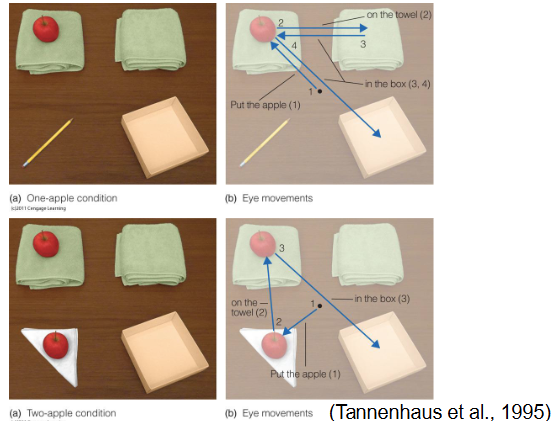 <p><span>❑ Contextual cues from the environment or previous parts of the conversation<br>❑ Example: “Put the apple on the towel in the box”</span></p><p><span>❑ Phonemic restoration effect: We can restore phonemes when their perception is disrupted</span></p>