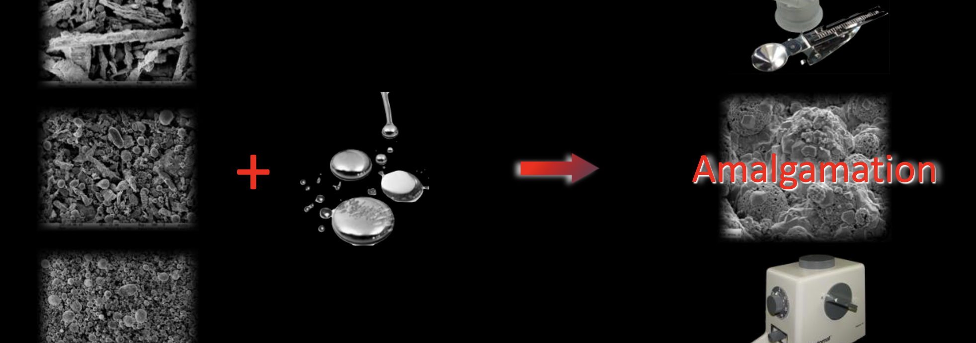 <p>amalgamation</p>