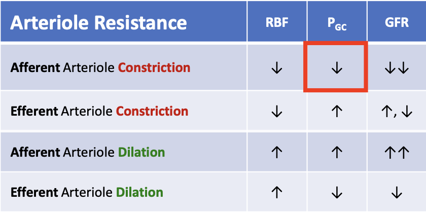 <p>PGC decreases</p>