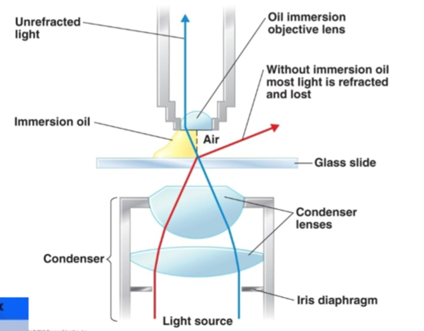 <p>immersion</p>