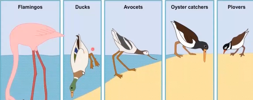 <p>Resource partitioning?</p>