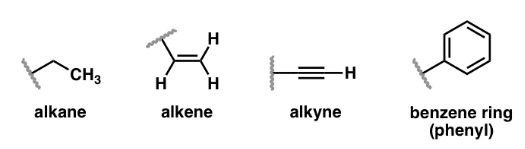 <ul><li><p>Alk<u>ane</u></p><ul><li><p>Carbon—Carbon single bonds</p></li></ul></li><li><p>Alk<u>ene</u></p><ul><li><p>Carbon—Carbon double bond</p></li></ul></li><li><p>Alk<u>yne</u></p><ul><li><p>Carbon—Carbon triple bond</p></li></ul></li><li><p>Aromatic compounds</p><ul><li><p>Functional group → Benzene Ring</p></li><li><p>Can have single/double bond</p></li></ul></li></ul><p></p>