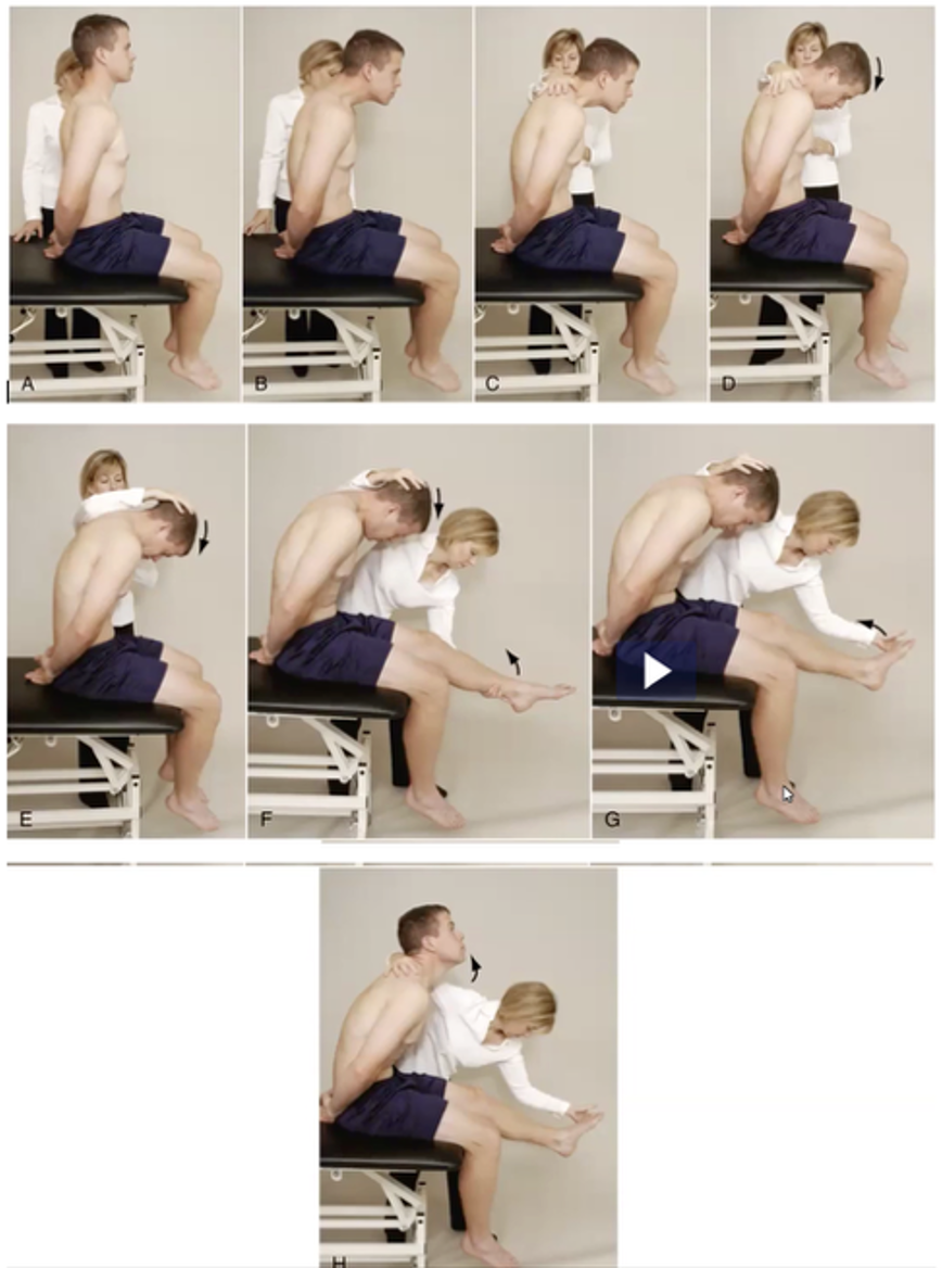 <p><strong>Purpose: </strong>Assess neurological pathology from the spinal cord, spinal nerve roots, or sciatic nerve</p><p></p><p><strong>How to Perform: </strong><span style="color: red;"><strong>check symptoms at every step!</strong></span></p><ol><li><p>Patient seated EOB, hands behind back, neutral spine</p></li><li><p>Thoracolumbar flexion with neutral cervical spine</p></li><li><p>PT maintains pt’s thoracolumbar flexion</p></li><li><p>Cervical flexion</p></li><li><p>Knee extension (active or passive)</p></li><li><p>Ankle DF (active or passive)</p></li></ol><p></p><p><strong>Positive Test: </strong>Reproduction of neurological symptoms</p><p></p><p><strong>Sensitizers: </strong>Cervical flexion and ankle DF</p>