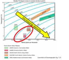 <p>driven by density of water</p>