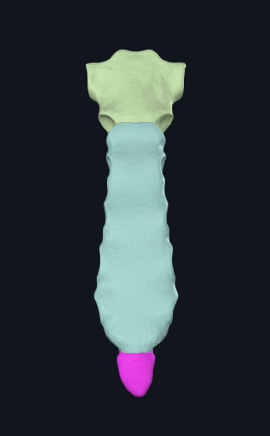 term image