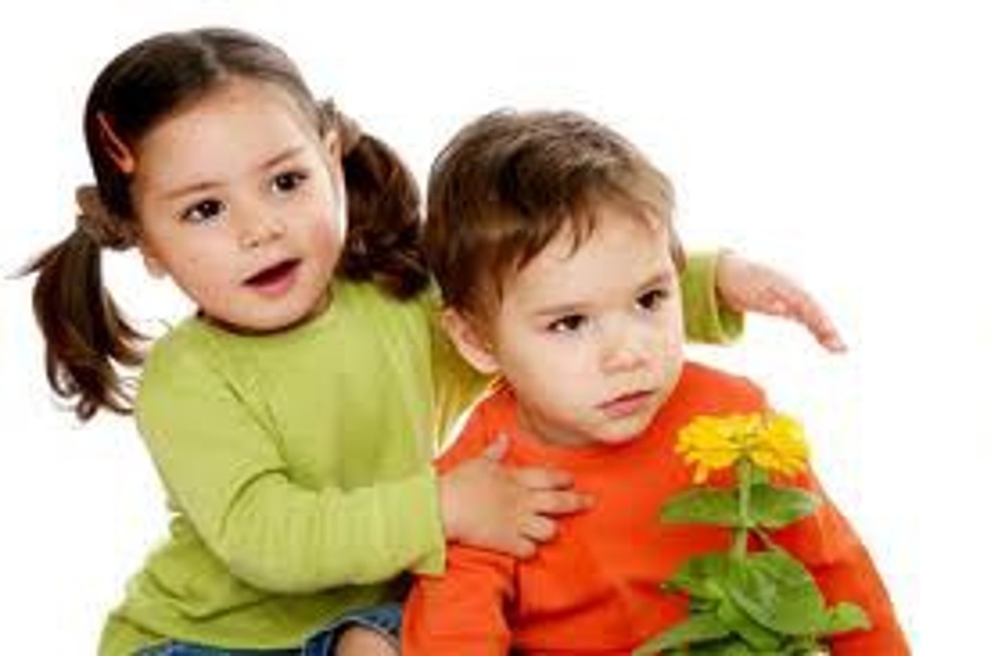 <p>- they are no more alike genetically than any other siblings</p>