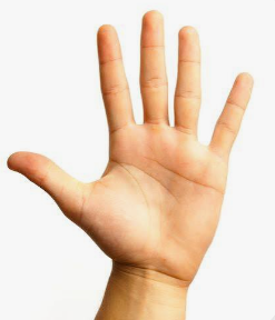 <p>Hand</p>