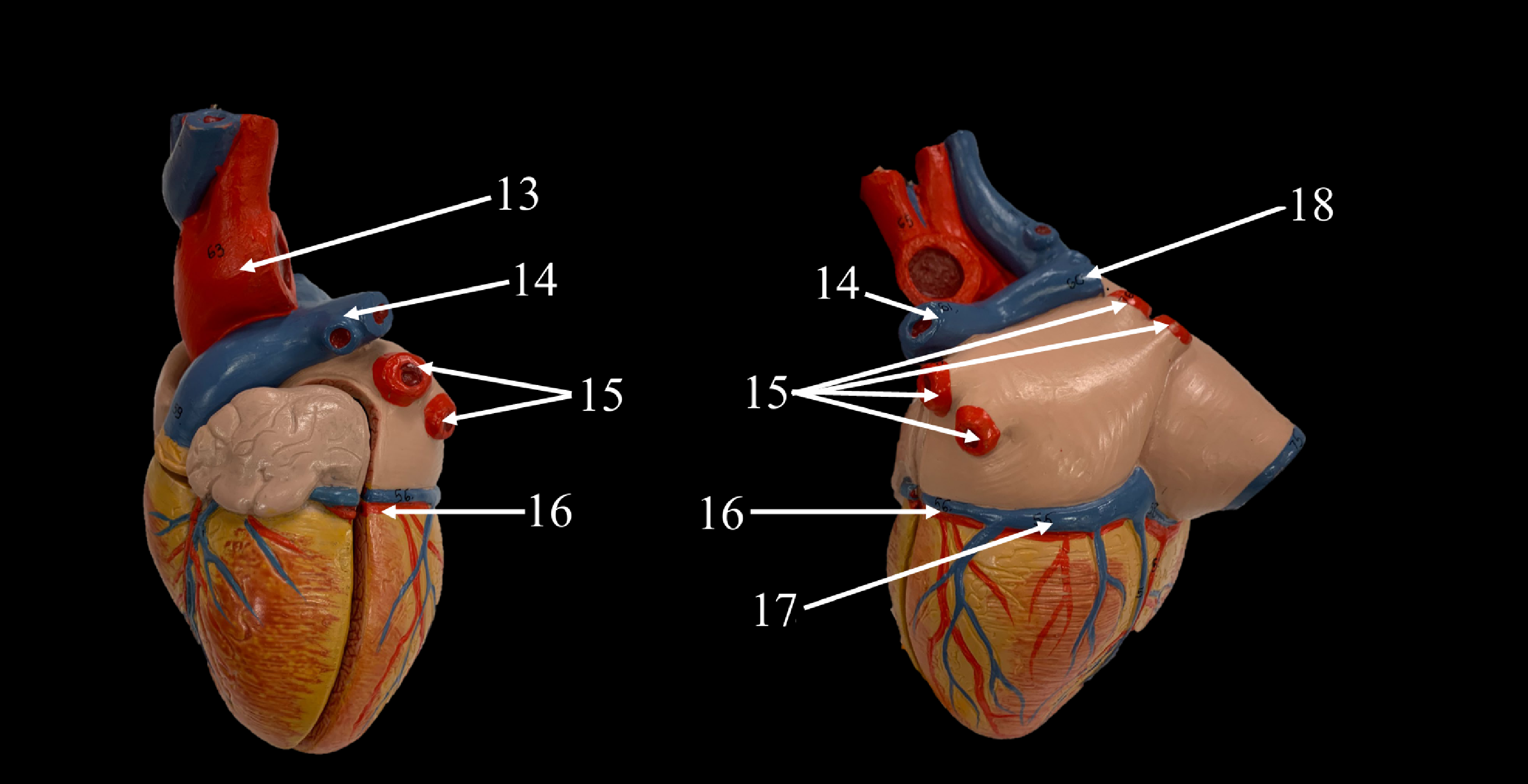 <p>WHAT IS 14 CALLED?</p>