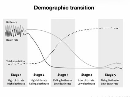 <ul><li><p>hoge geboorte en sterfte aantallen in babytijd </p></li><li><p>lage sterfte en geboorte getallen</p></li></ul><p></p>