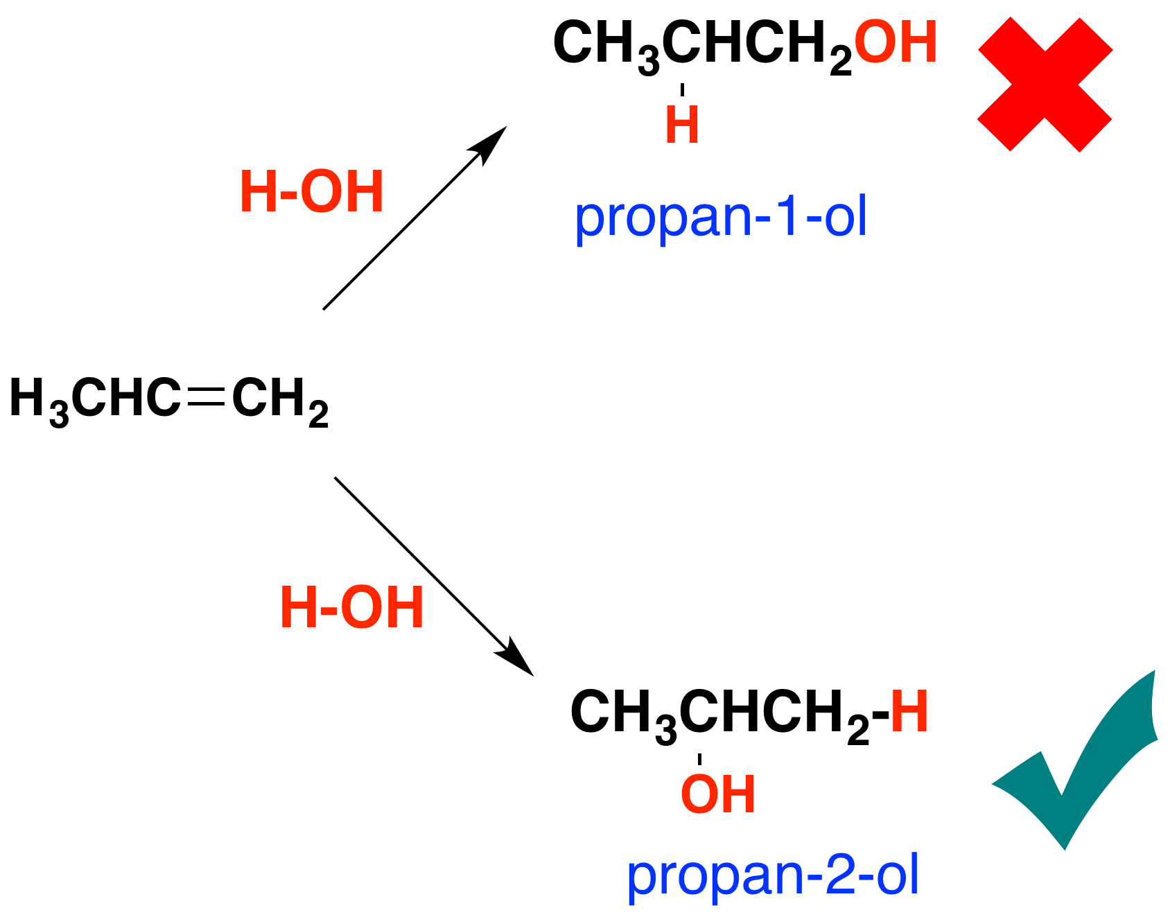 <p>addition reaction of OH to carbon with last number of hydrogen</p>