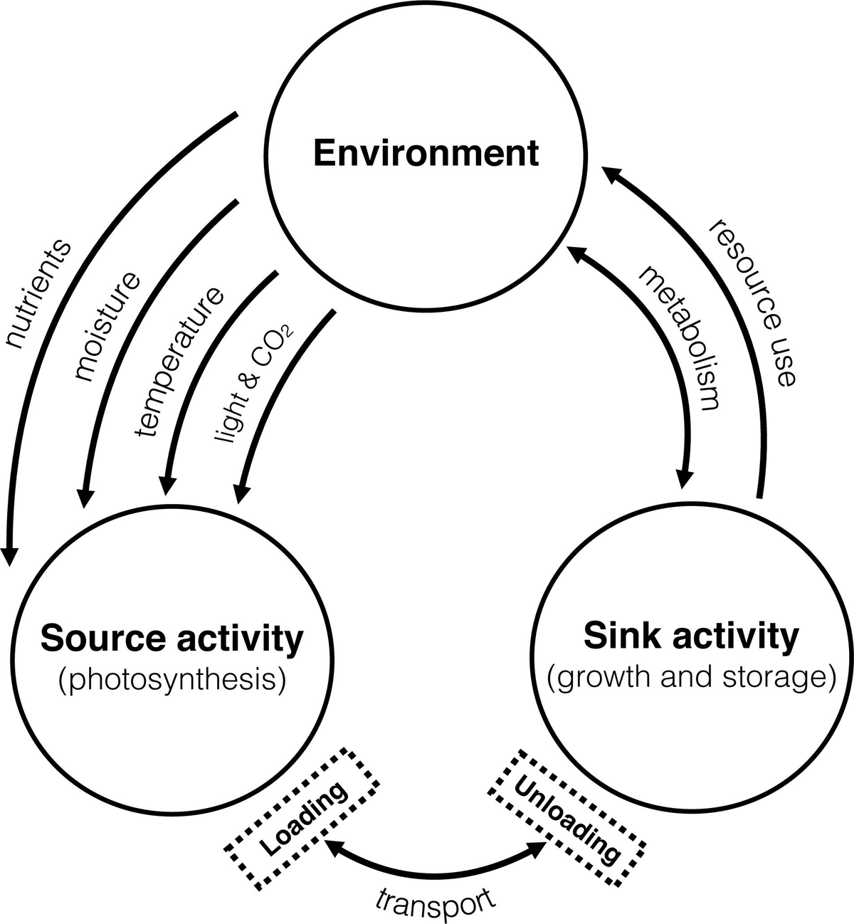 <p>concepts in ecology describing populations that rely on sources (areas with high reproduction rates) to sustain sink populations (areas that do not produce enough individuals to maintain themselves). </p>