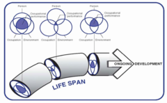 <p>PEO model</p>